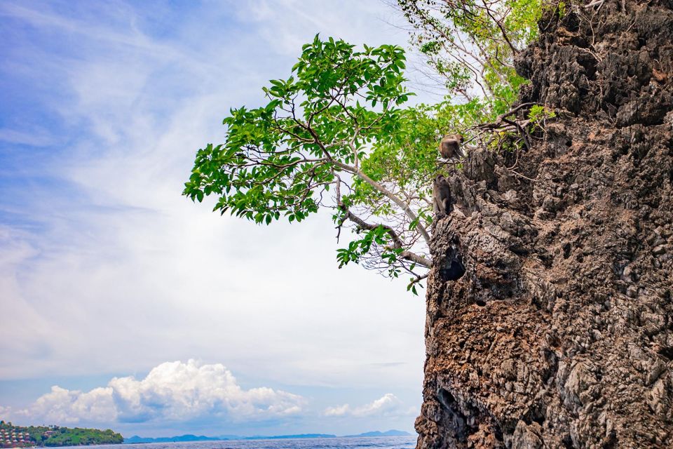 Phi Phi: Half-Day Phi Phi Snorkeling Trip by Longtail Boat - Loh Samah Bay Snorkel: Your Best Shot at Marine Life