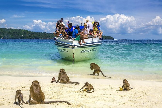 Phi Phi Island from Phuket by Speedboat (SHA Plus) - Monkey Beach and Phi Phi Don: lunch plus the fastest way to get the photos