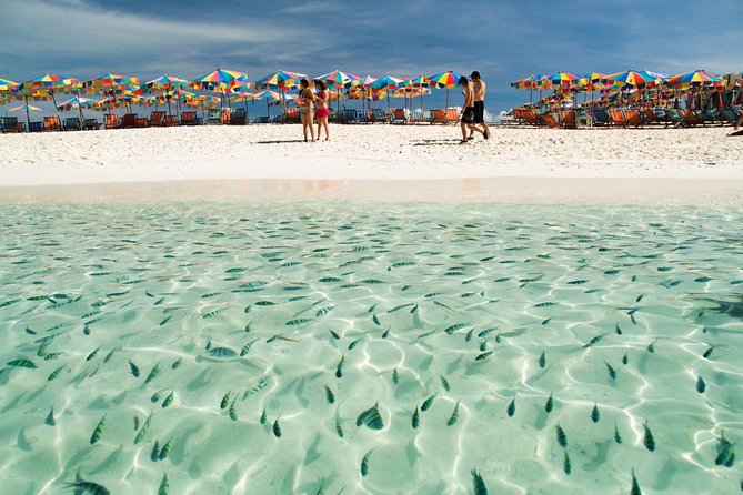 Phi Phi Island from Phuket by Speedboat (SHA Plus) - Price ($94.89) and value: what you’re paying for, and what to watch