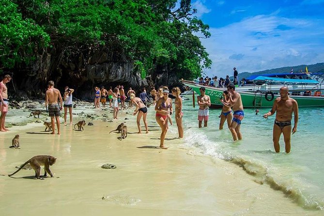 Phi Phi Island Half Day Tour From Phi Phi by Longtail Boat - Who this tour is best for (and who should consider something else)
