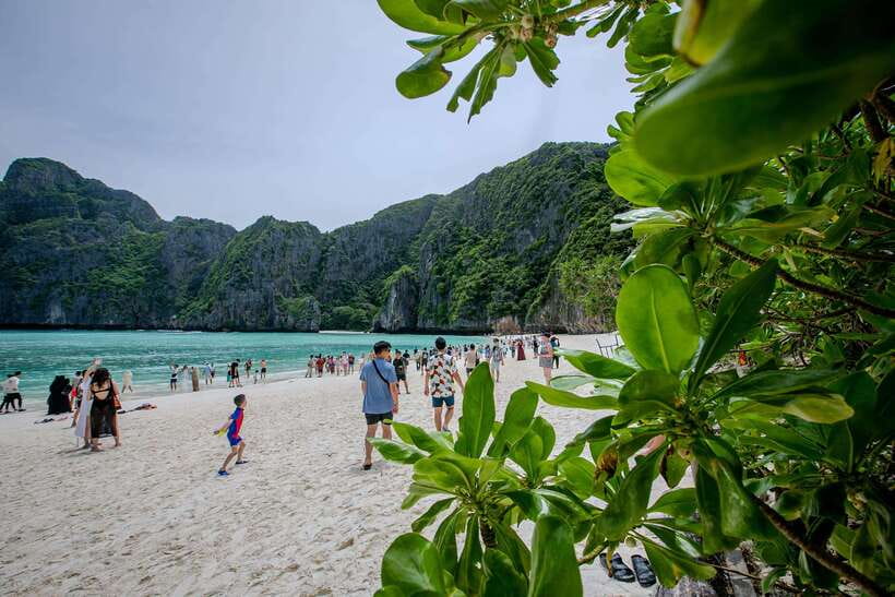 Phi Phi Island: Maya bay Sunset & Plankton by Speedboat - Key things you’ll remember most