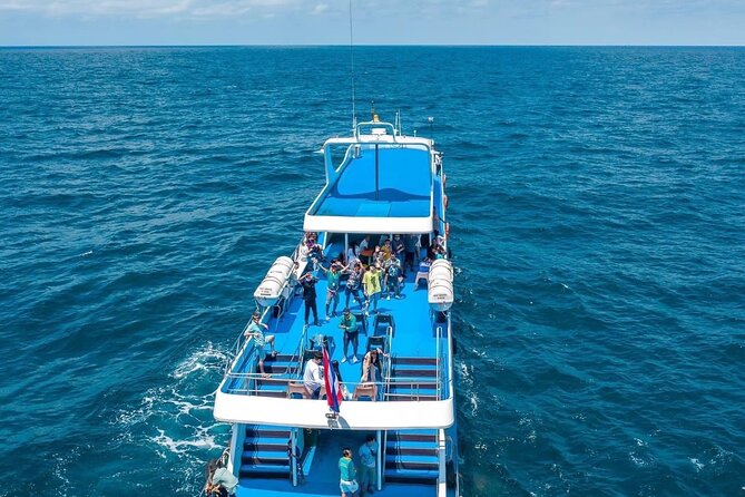 Phi Phi Island To Phuket By Phi Phi Cruiser - Timing and Check-In: What Actually Runs the Show