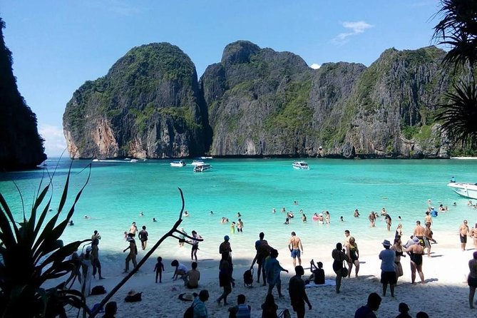Phi Phi Island Tour by Royal Jet Cruiser with Lunch by The Sea - The lunch reality check: buffet Thai specialties on the island