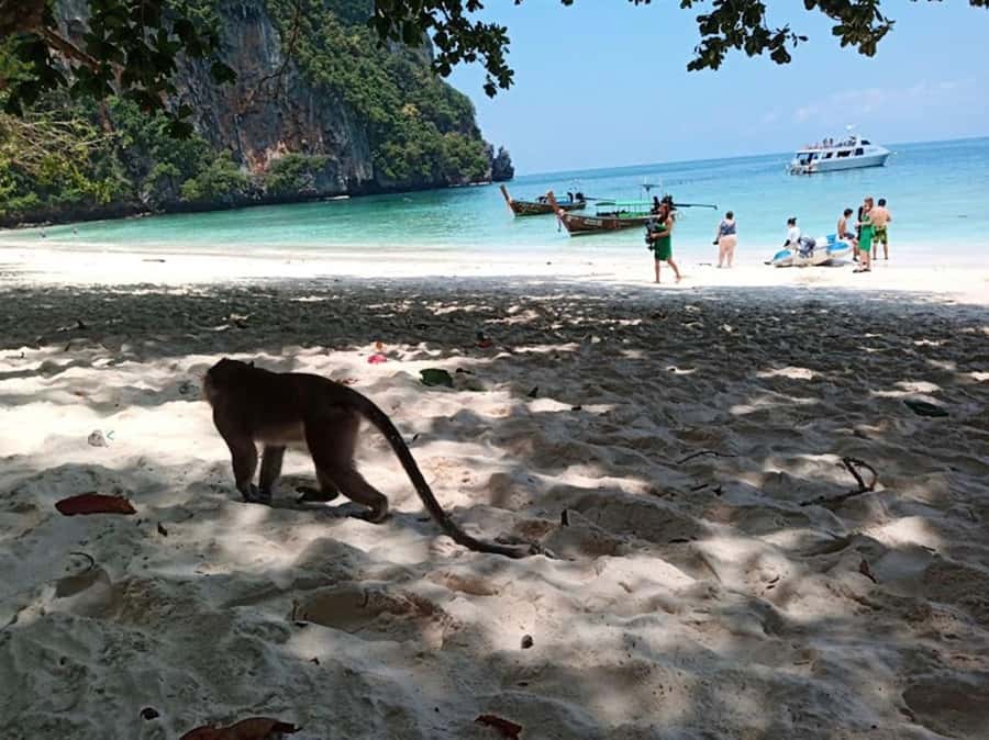 Phi Phi Islands: 2 Days, 1 Night Trip with Activities - Phi Phi in 2 Days: What This Trip Actually Gives You