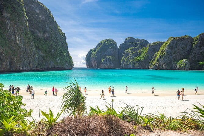 Phi Phi Islands and Khai Island by Premium Speed Catamaran - Monkey Bay: A Quick Wildlife Spot (But Still Worth It)