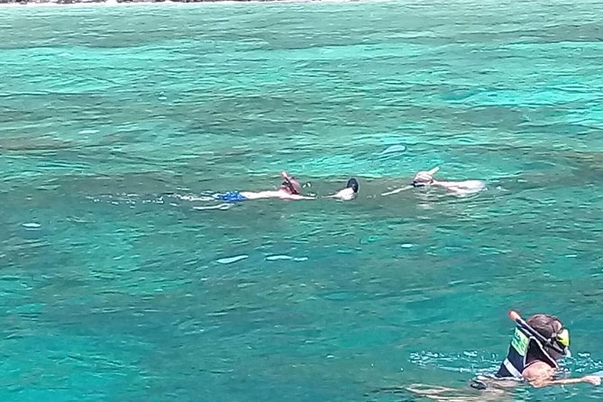 Phi Phi Islands and Khai Island Day Tour from Phuket by Speedboat - Monkey Beach: long-tailed macaques up close
