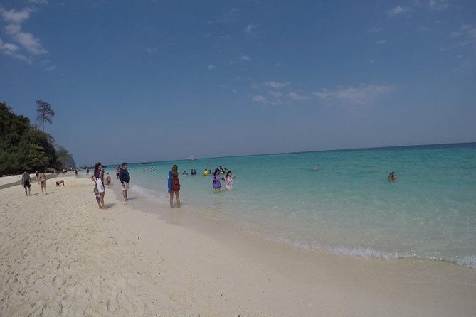 Phi Phi Islands Day Tour Bamboo and Maya Bay with Lunch By Speedboat - Bamboo Island: Swim, Snorkel, and That Lush Center