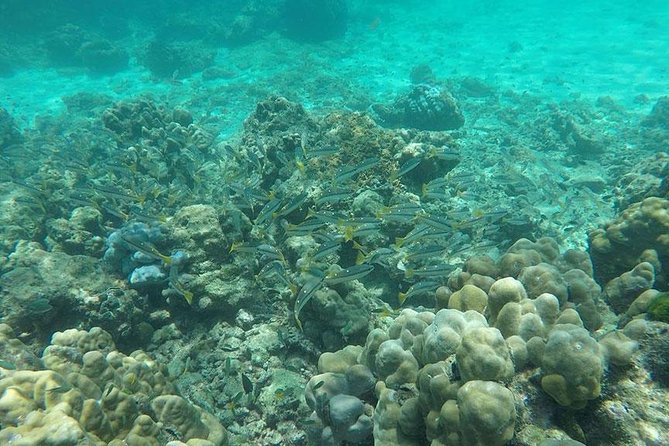 Phi Phi Islands One Day Tour by Speedboat From Phuket - Group size, weather, and the real-world trade-offs