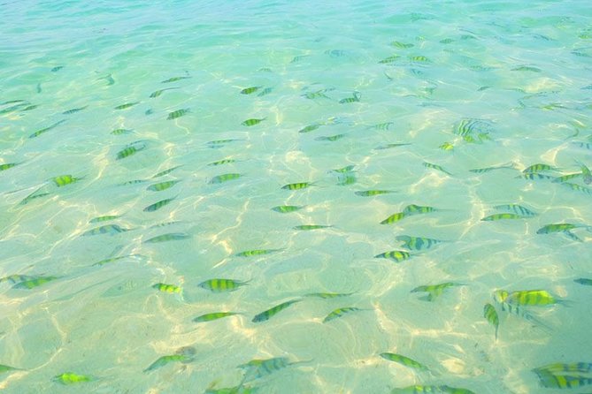 Phi Phi Islands One Day Tour by Speedboat From Phuket - Who this tour is for (and who might prefer something else)