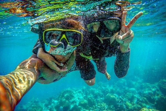 Phi Phi Islands Premium Day Trip Speedboat with Seaview Lunch by ALP Tour - What’s included, what’s extra, and where value comes from