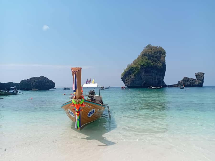 Phi Phi Islands: Private Longtail Boat 6-hour Trip - Monkey Beach: cute chaos on the sand (30 minutes)