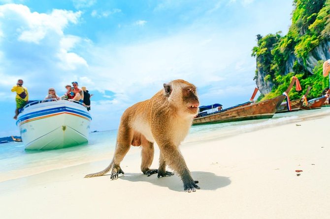 Phi Phi , Khai & Maya : Unforgettable Island Hopping by Speedboat - Pileh Bay Swimming and the Optional Longtail Photo Ride