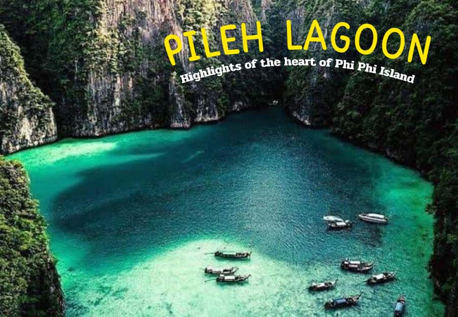 Phi Phi: Longtail Boat Full-Day Tour with Sunset - Price and Value: The $40 Ticket vs the Real Costs