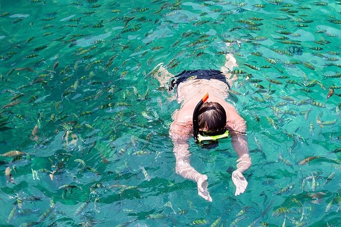 Phi Phi, Maya Bay, Bamboo by Private VIP boat - Phi Phi Islands sightseeing + snorkeling: where the day earns its keep