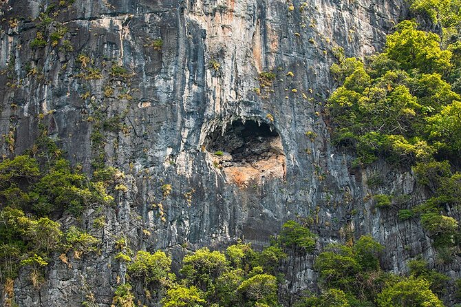 Phi Phi, Maya, Khai and Pileh Day Trip by Speed Catamaran From Phuket - Who This Tour Suits (and Who Should Skip It)