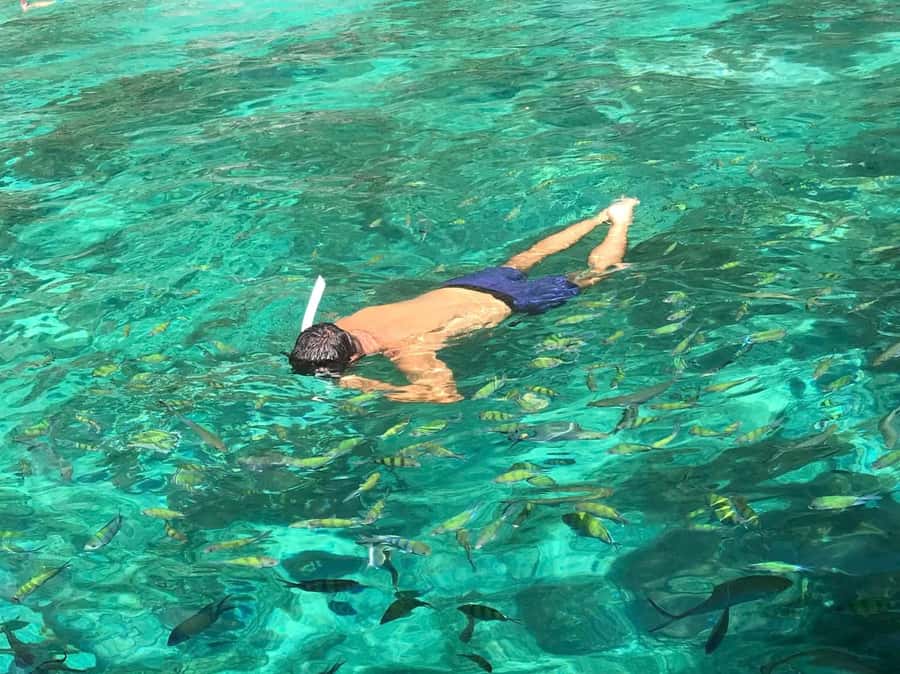 Phi Phi: Private Maya Bay Longtail Boat Tour with Snorkeling - The “small group” promise: how to get the benefits