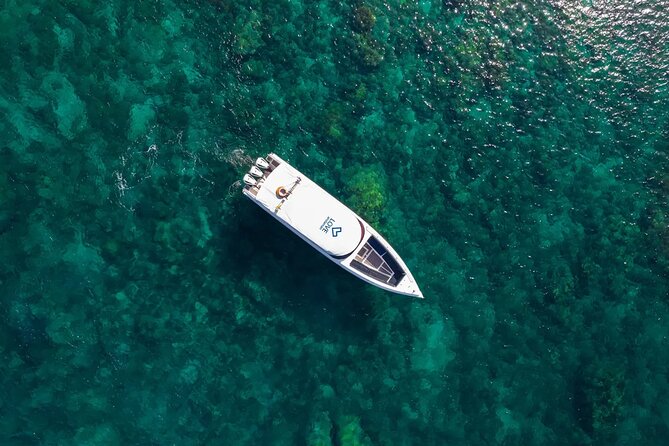 Phi Phi Speedboat Day Trip: Maya Bay, Bamboo & Seaview Lunch - Viking Cave and Monkey Beach: short sightings, big “wow” factor