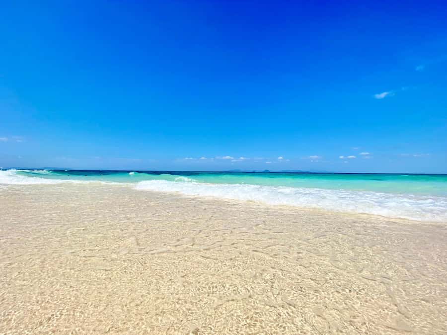 Phi Phi: Sunrise & Beat The Crowds to Maya Bay by Speedboat - Bamboo Island lunch: white sand time with fruits and a boxed meal