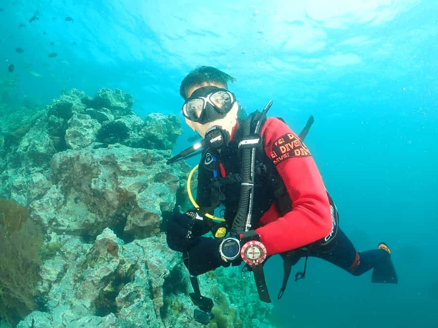 Phuket: 3 Dive Koh Phi Phi/Shark Point Scuba Diving Day Trip - The Phi Phi and Shark Point plan: what the day is really like