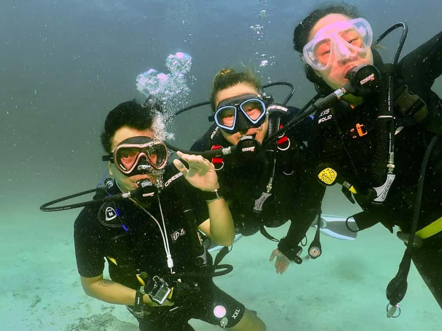 Phuket: 3 Dive Koh Phi Phi/Shark Point Scuba Diving Day Trip - Price and value: is $176 a fair deal?