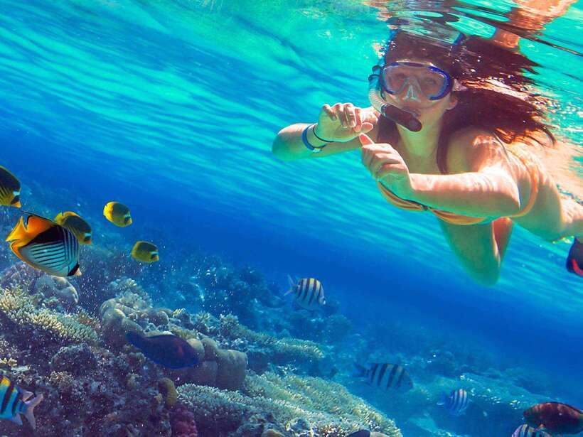 Phuket: 3 Khai Islands Snorkeling Tour - Khai Nai (Cat Island): the best kind of break between swims