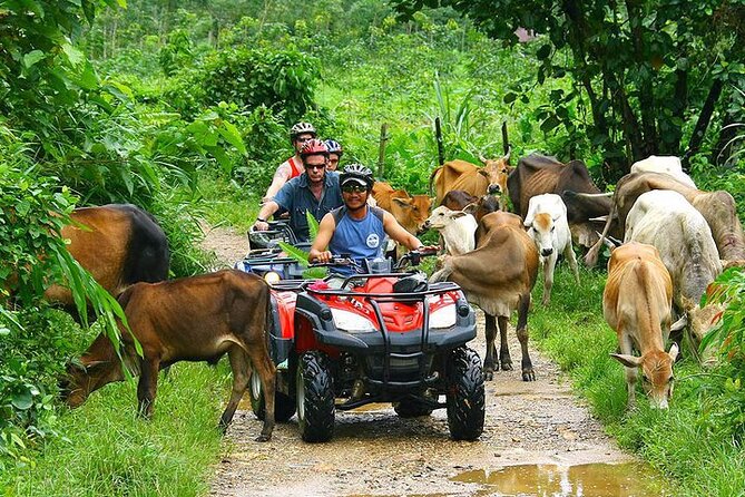 Phuket ATV Seaview On Tour - The Guide Experience: When Help Makes the Ride Better