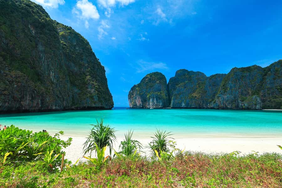 Phuket: Bamboo Island and Phi Phi Islands by Fast Catamaran - Viking Cave and Maya Bay: iconic views with a crowd reality