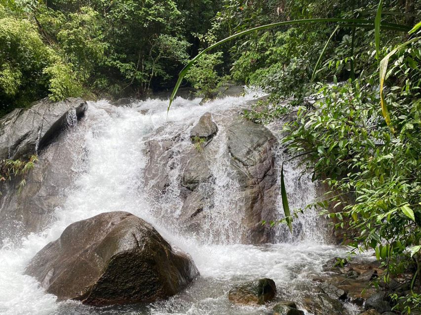 Phuket: Bamboo Rafting, Monkey Cave, and ATV Option - Price and value: what $56 buys you in a 9-hour package