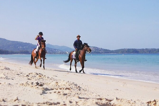 Phuket Beach and Horse Rides 1 Hour Experience - Best time to ride: beat the heat with a simple plan