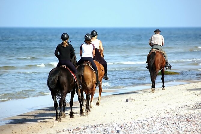 Phuket Beach and Horse Rides 1 Hour Experience - Should you book this Phuket beach horse ride?