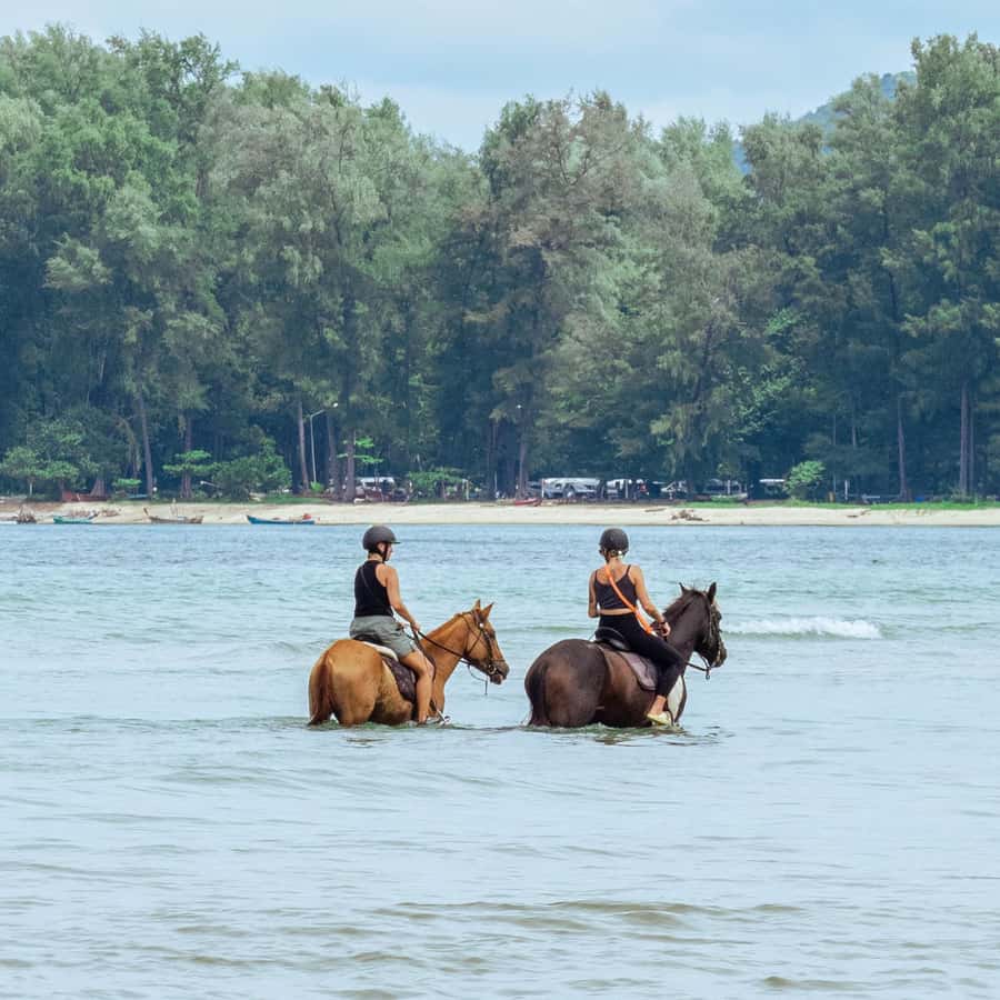 Phuket Beach Horseback Adventure - Quick Highlights You Can Rely On