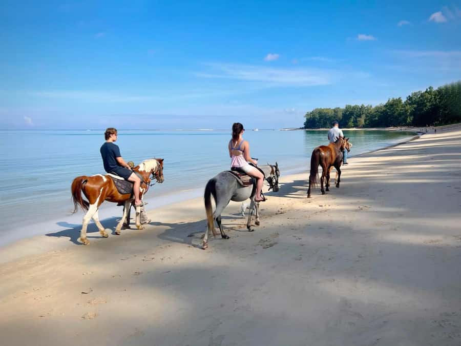 Phuket Beach Horseback Adventure - Sunrise vs Sunset: Pick the Light That Fits Your Day
