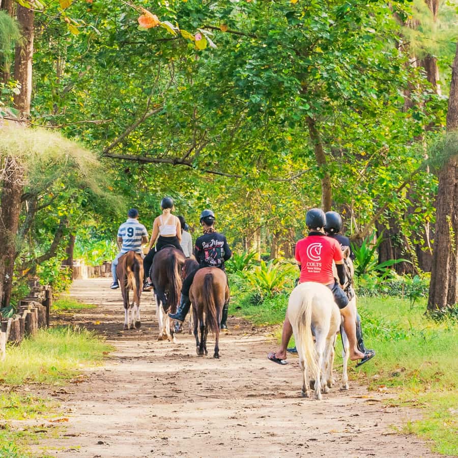 Phuket Beach Horseback Adventure - Safety and Control: What You Need to Know Before You Mount