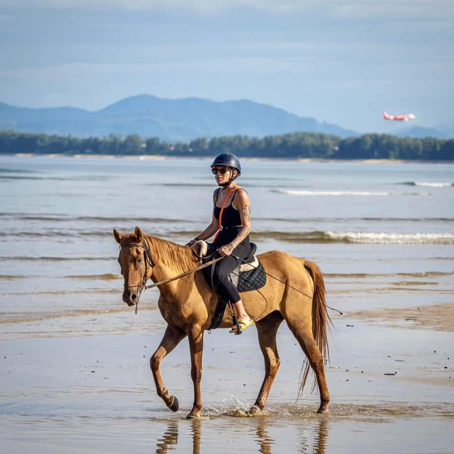 Phuket Beach Horseback Adventure - What Happens During the Beach Portion