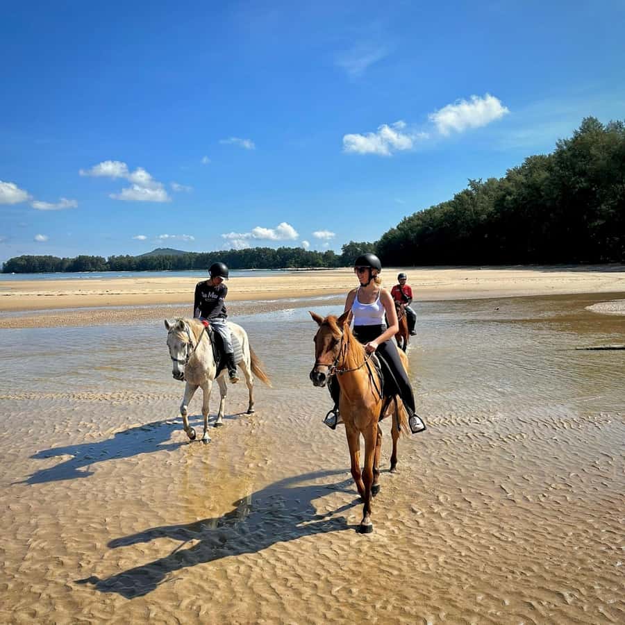Phuket Beach Horseback Adventure - The Sea Option: Fun Potential, Not a Guaranteed Splash