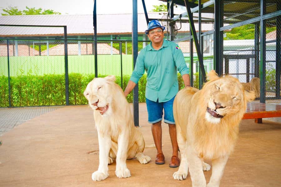 Phuket Big Buddha city tour + Lion Land with tour guide(ENG) - Lion Land Photo Stop and the Honey/Cashew/Souvenir Break