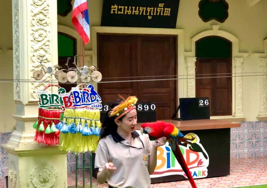 Phuket: Bird Park, Elephant Feeding, ATV Ride & City Tour - Tiger Park Canopy Forest Safari: the thrill segment (and where expectations can differ)