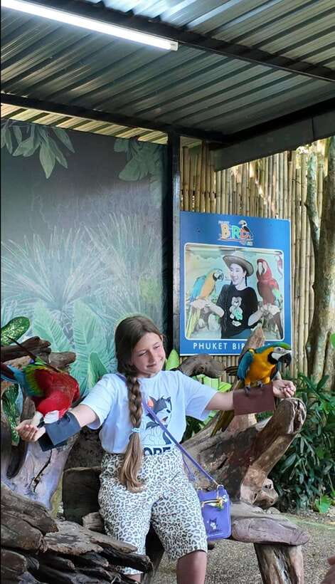 Phuket: Bird Park Entry Ticket - Who this Phuket bird park ticket suits best
