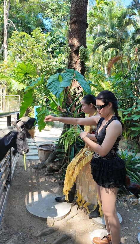 Phuket: Bird Park Entry Ticket - Where this Phuket bird park fits in your day