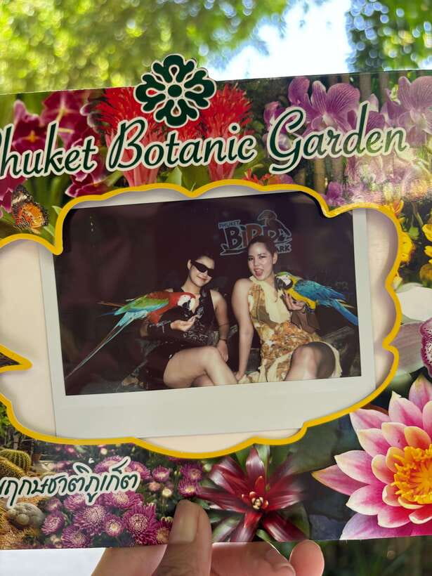 Phuket: Bird Park Entry Ticket - Feeding time and the feel of being right there