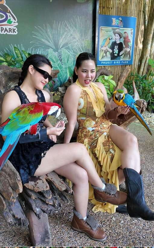 Phuket: Bird Park Entry Ticket - Photography opportunities: how to get better shots without stress