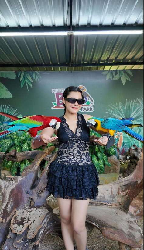 Phuket: Bird Park Entry Ticket - The park vibe: music, noise, and pacing