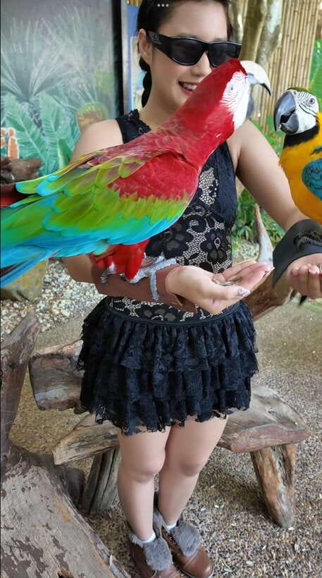 Phuket: Bird Park Entry Ticket - Pricing: is $28 worth it in Phuket?
