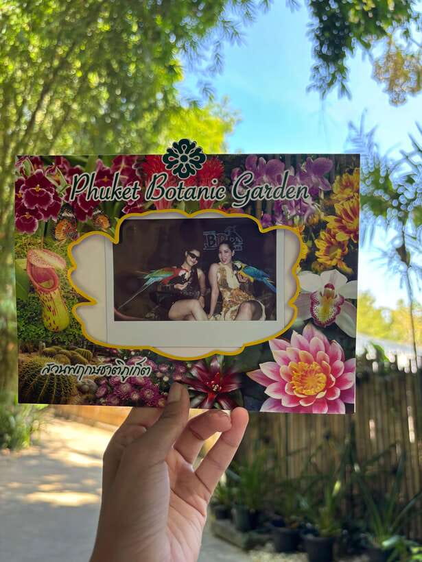Phuket: Bird Park Entry Ticket - Practical tips for an open-air bird park day