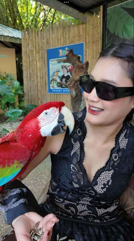 Phuket: Bird Park Entry Ticket - How the close encounters work (and what you should expect)