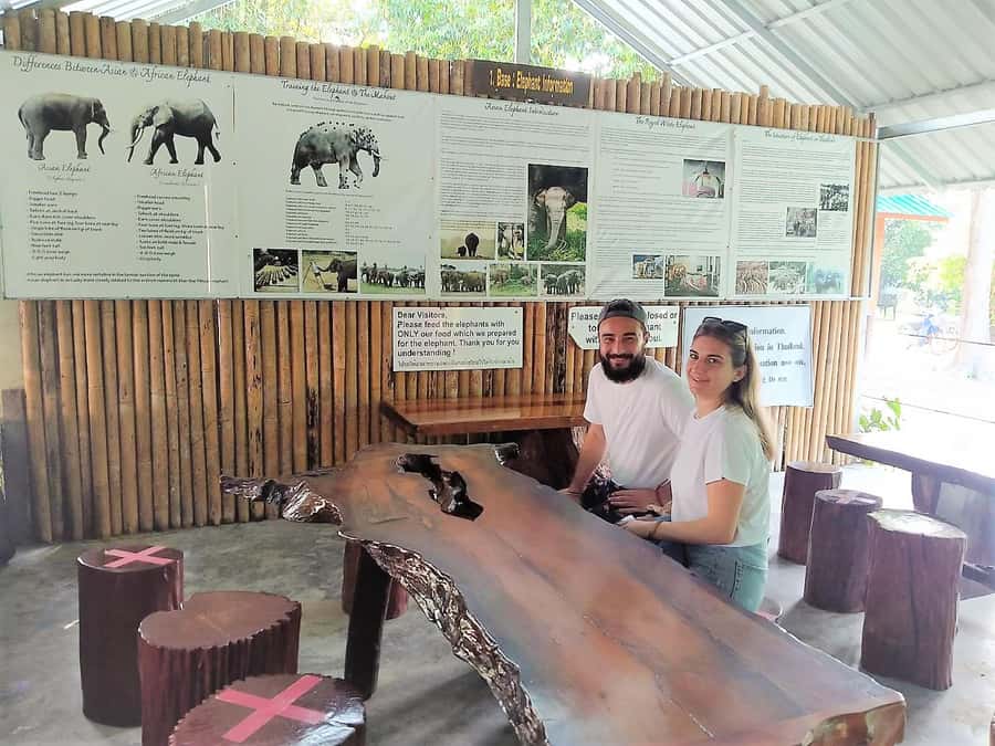 Phuket: Cheow Lan Lake Overnight with Elephant Day Care - Quick hits before you go