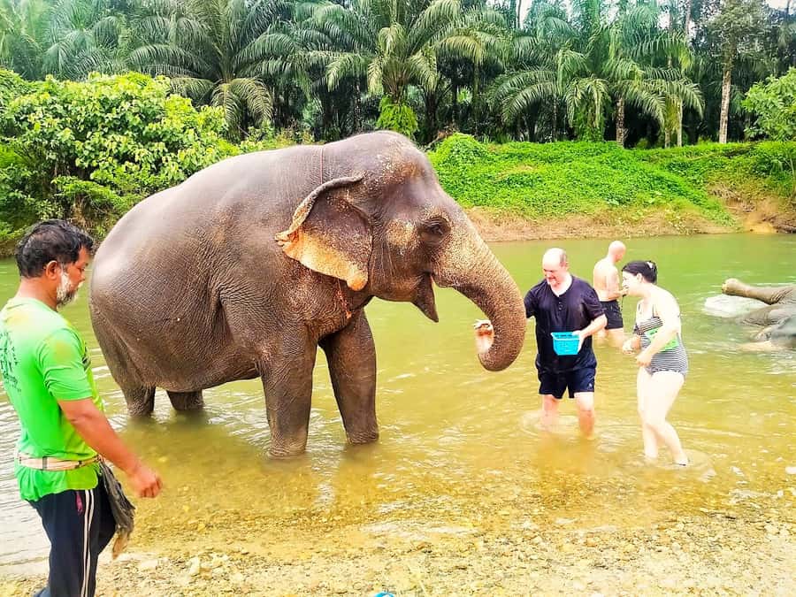 Phuket: Cheow Lan Lake Overnight with Elephant Day Care - Mea Yai waterfall and Khao Sok viewpoint: photo stops that do work