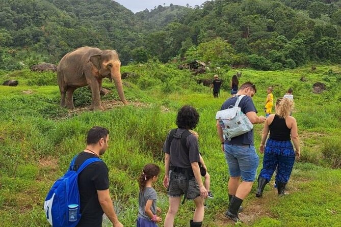 Phuket City Tour & Elephant Sanctuary – Town, Temple, Food & View - Bukit Elephant Park: what ethical means here, and what you’ll do