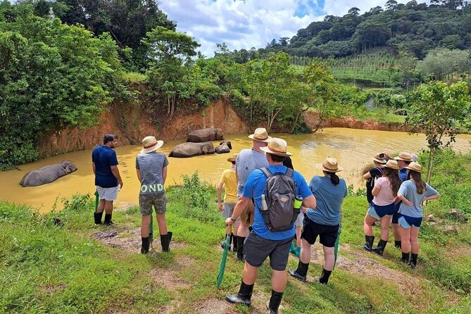 Phuket City Tour & Elephant Sanctuary – Town, Temple, Food & View - Big Buddha and Windmill Viewpoint: your best photos depend on access