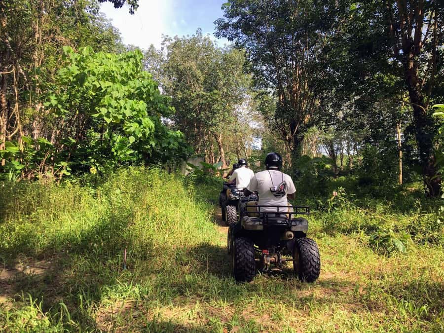 Phuket City Tour with ATV Adventure and Elephant Feeding - Big Bee Farm and the Cashew Nut Factory: Why These Stops Feel More Local